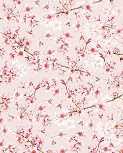 Réf.POO3 / 70 x 50 cm /  Cerisiers japonais en fleurs / 4 disponibles /  3,80 €